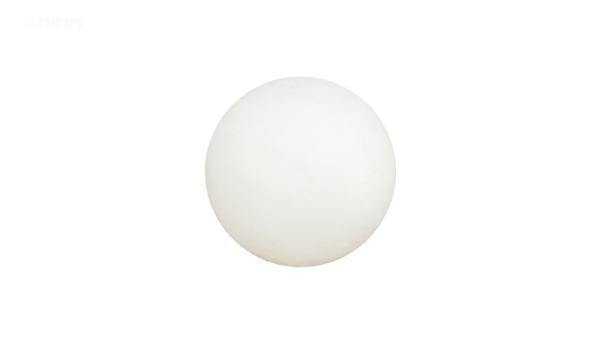 Pentair, 1" POLY CHECK BALL