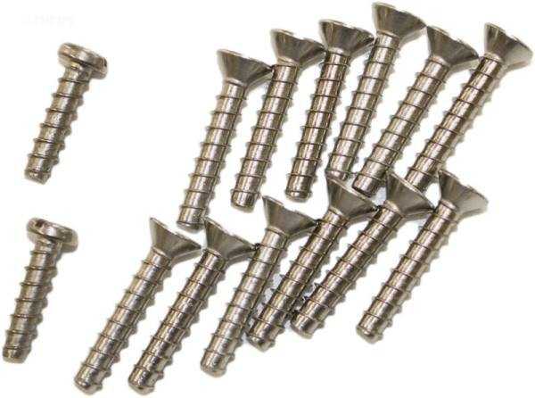 Hayward, 1.25"LONG SKIMMER SCREWS