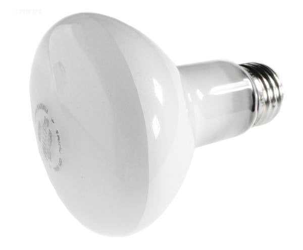 Hayward, 100W 120V Reflector Flood bulb, screw-in