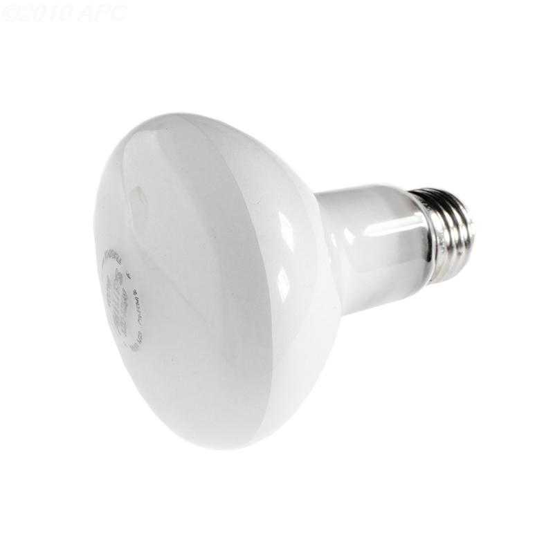 Hayward, 100W 120V Reflector Flood bulb, screw-in