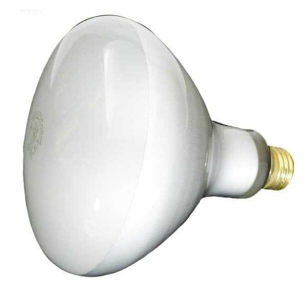 Hayward, 300W 120V Reflector Flood bulb