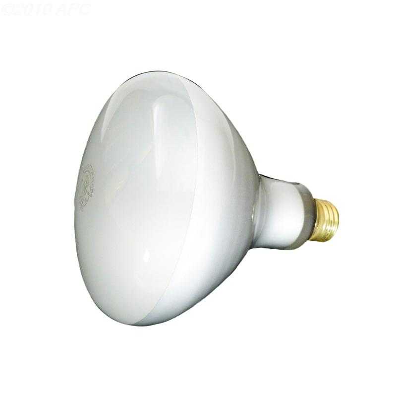 Hayward, 300W 120V Reflector Flood bulb