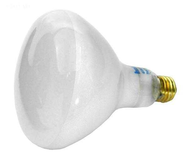 APC, 400W 120V Globe bulb screw-in