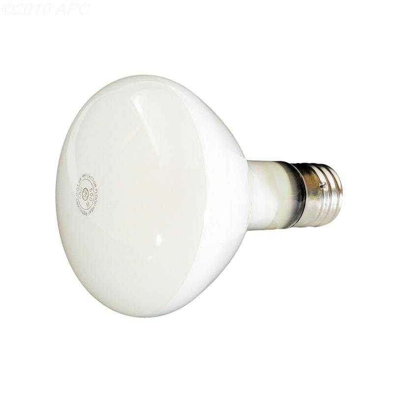 Hayward, 500W,110V, R40 LITE BULB