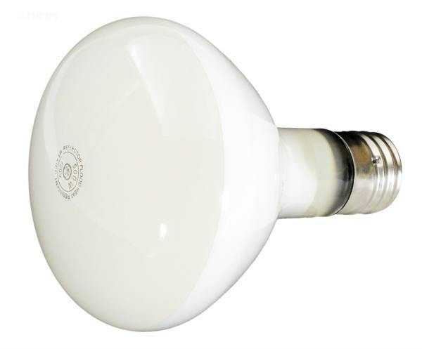 Hayward, 500W,110V, R40 LITE BULB