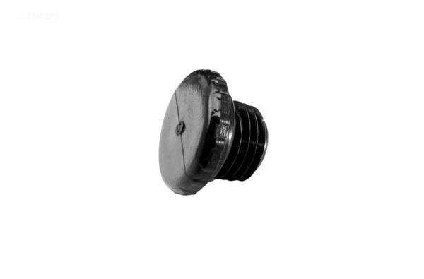 Pentair, Access plug, 1/4" earlier models