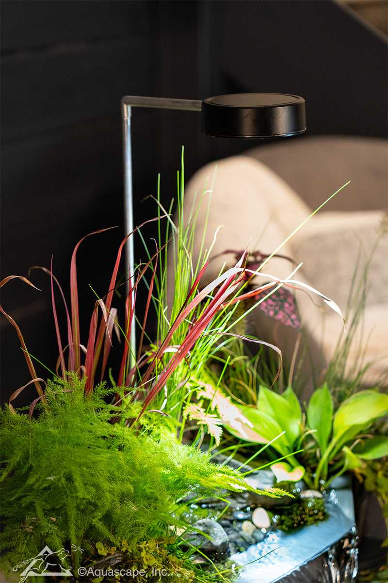 Aquascape, Aquascape AquaGarden Plant Light