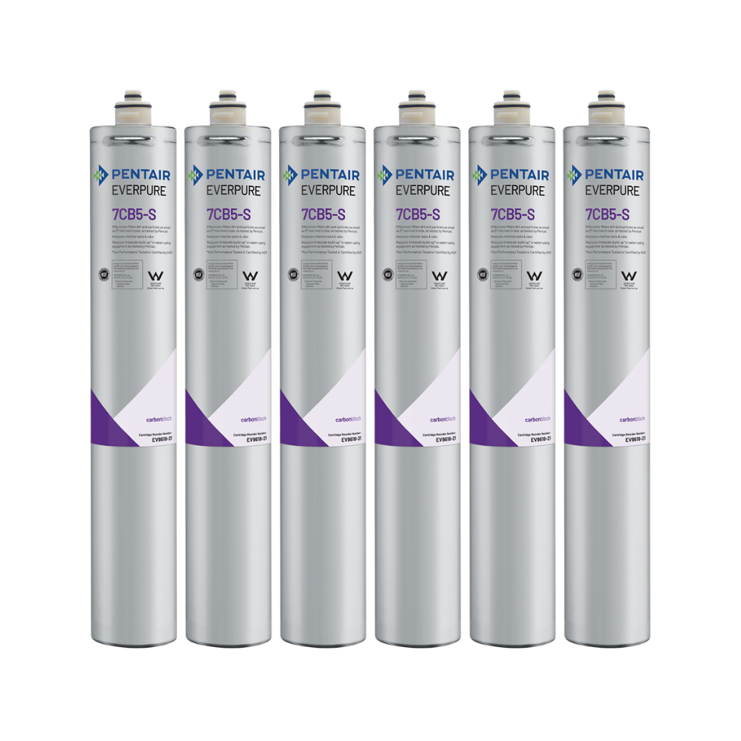 Everpure, Everpure 7CB5-S EV9618-21 Filter Cartridge 6-Pack (Ice)