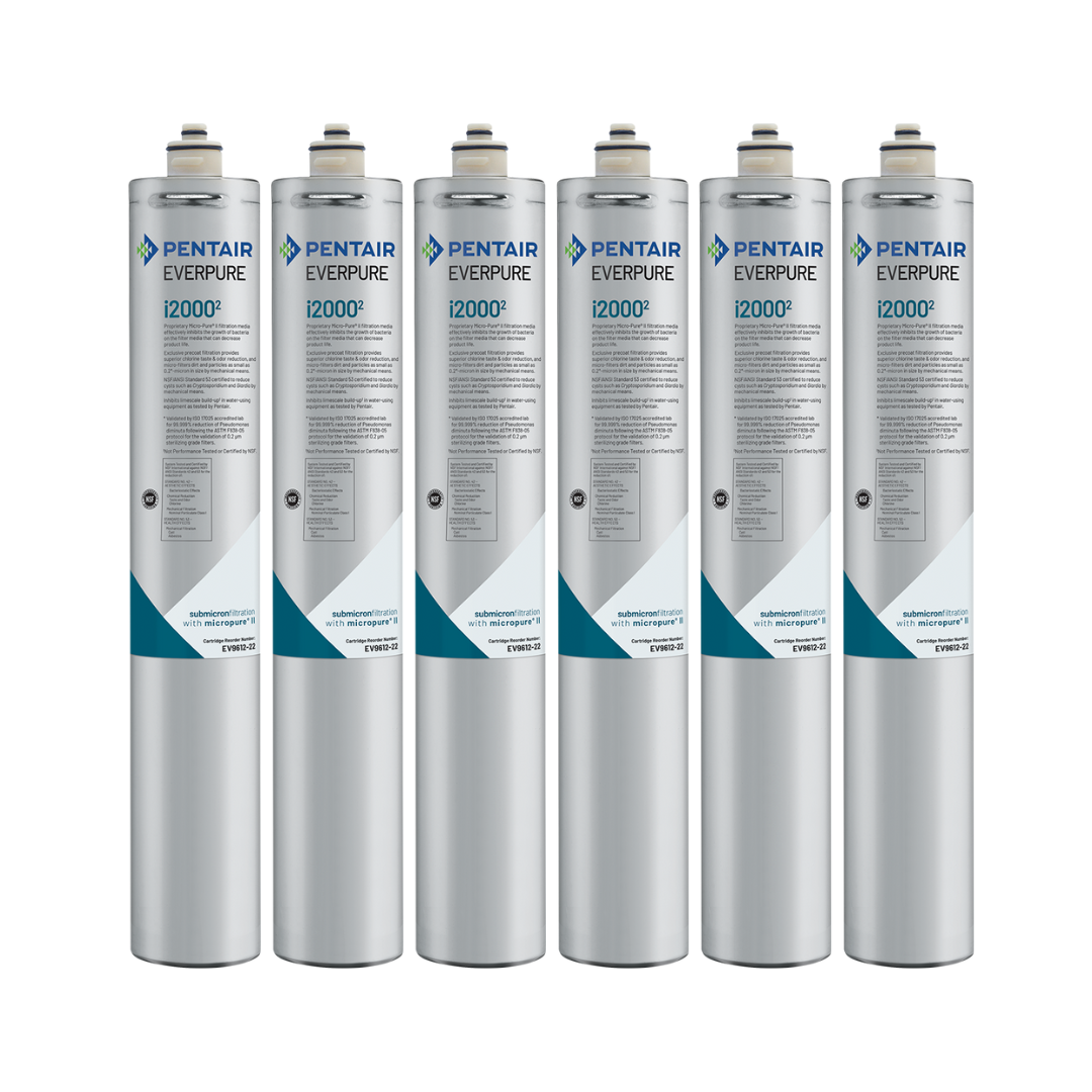 Everpure, Everpure EV9612-27 Insurice i20002 Filter Cartridge 6 Pack