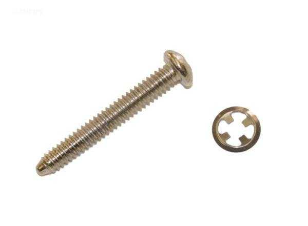 Hayward, HAYWARD FACE RIM LOCKSCREW W/FASTENER