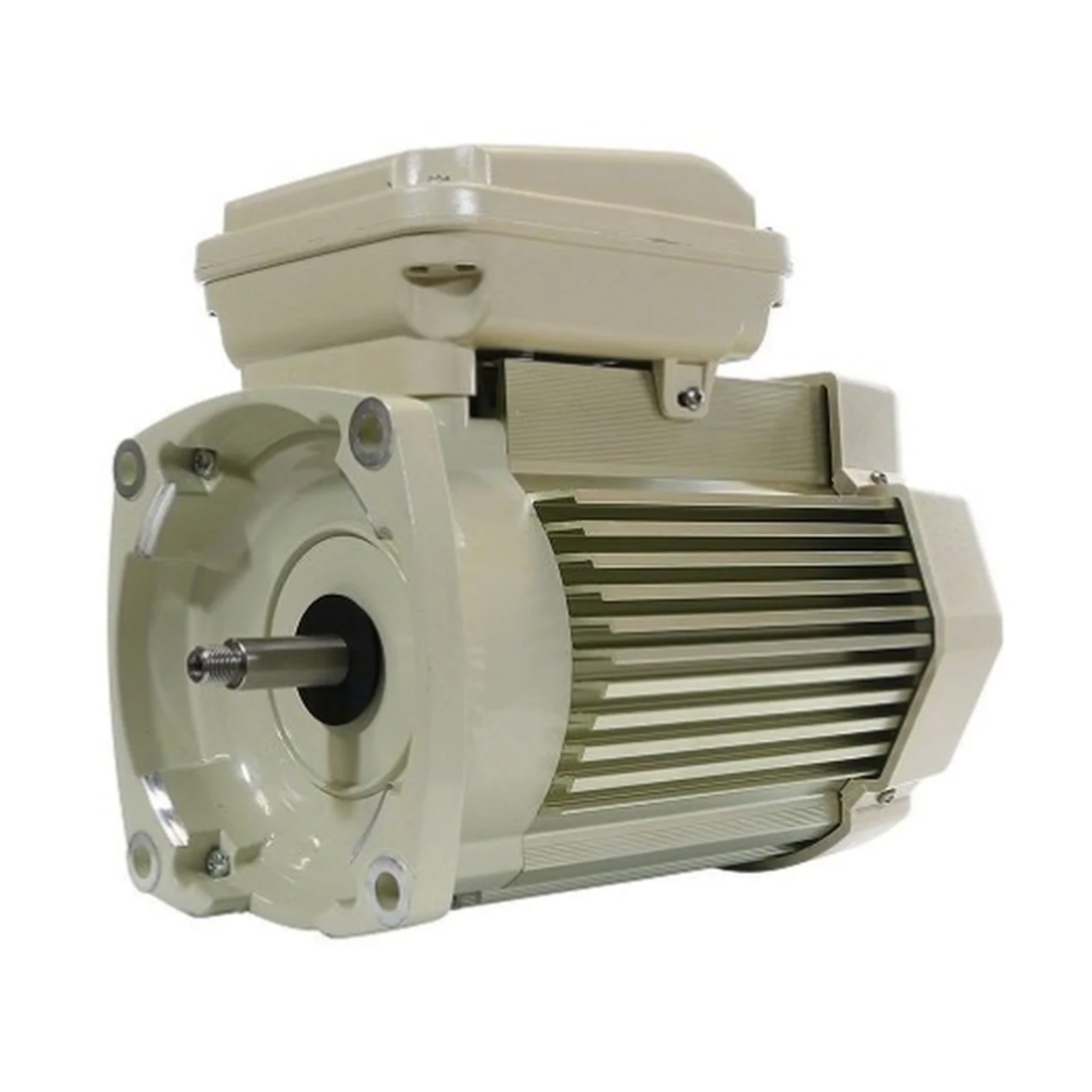 Pentair Pool, Pentair 354815S TEFC Pump Motor 2HP for SuperFlo & WhisperFlo Pumps