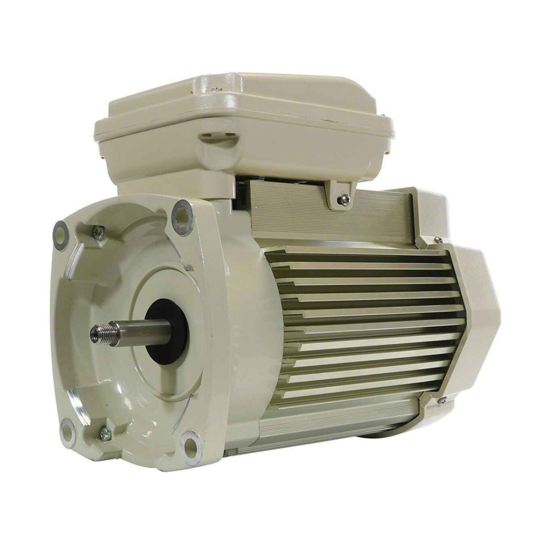 Pentair Pool, Pentair 354821S WFET-4 Single Speed TEFC Pump Motor 1.0HP for SuperFlo & WhisperFlo